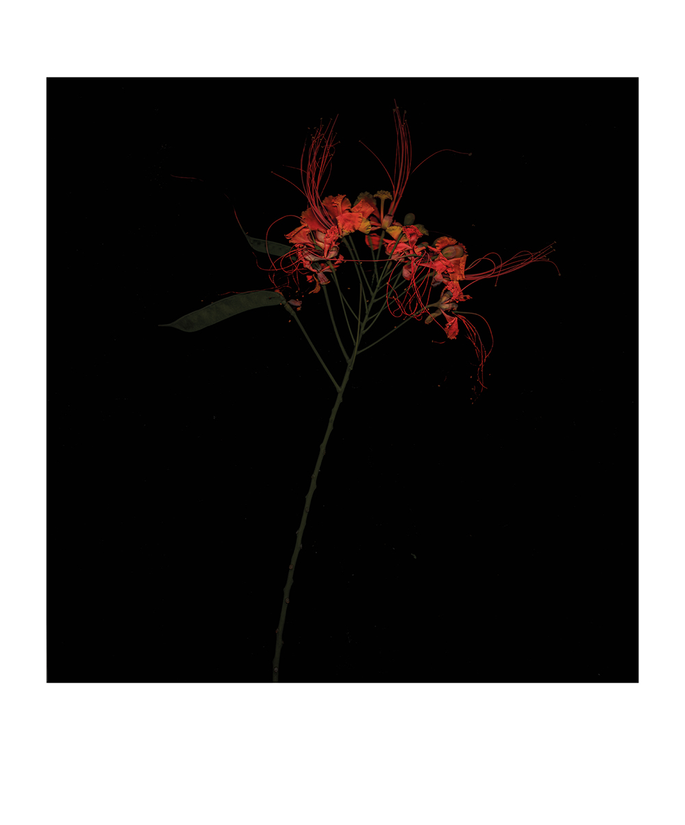 Is reallity an illusion ?