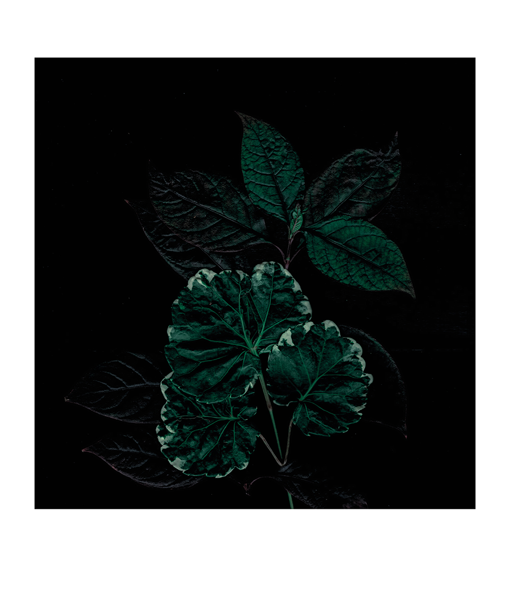 Is reallity an illusion ?