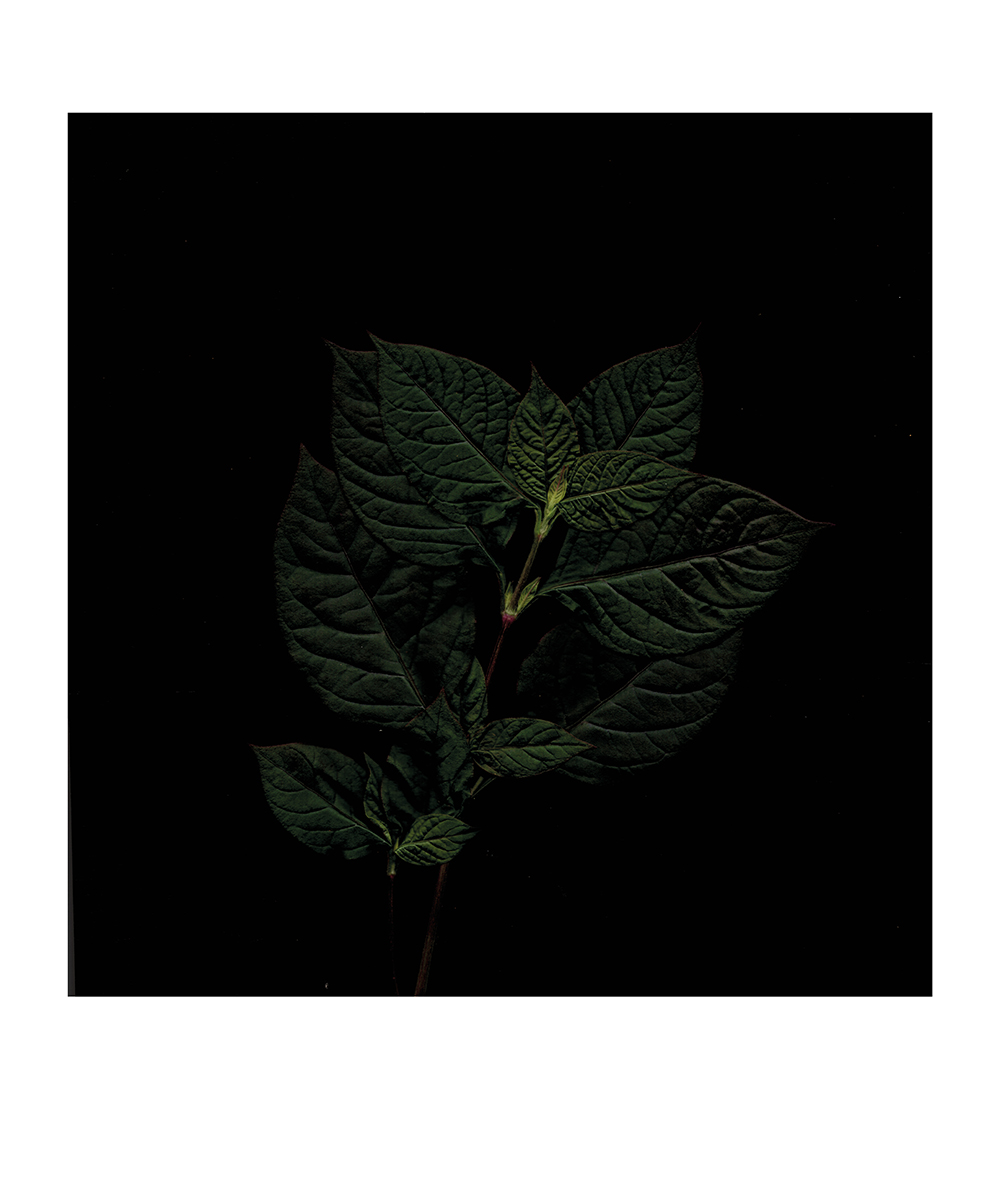 Is reallity an illusion ?