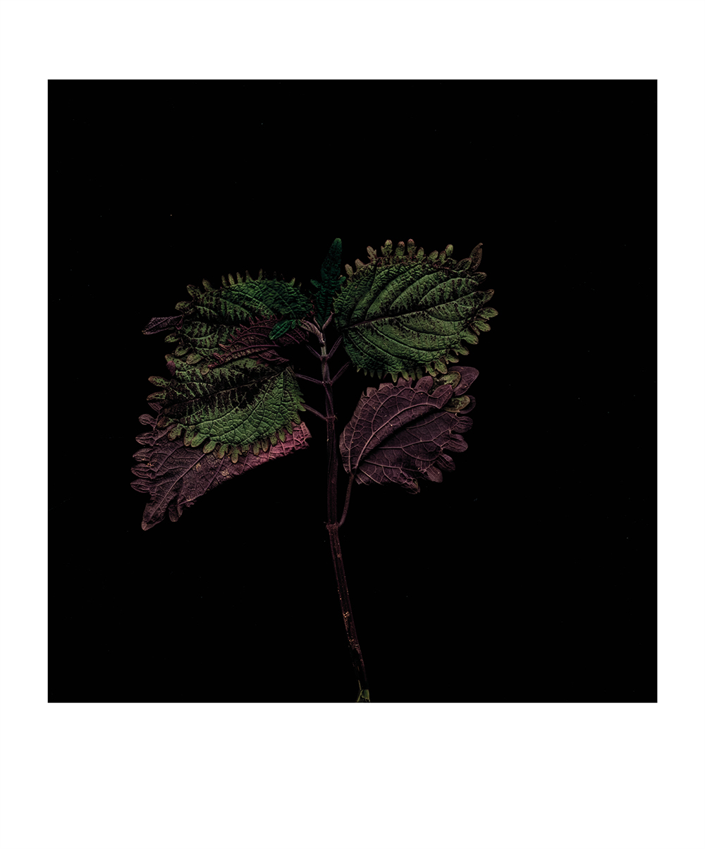 Is reallity an illusion ?