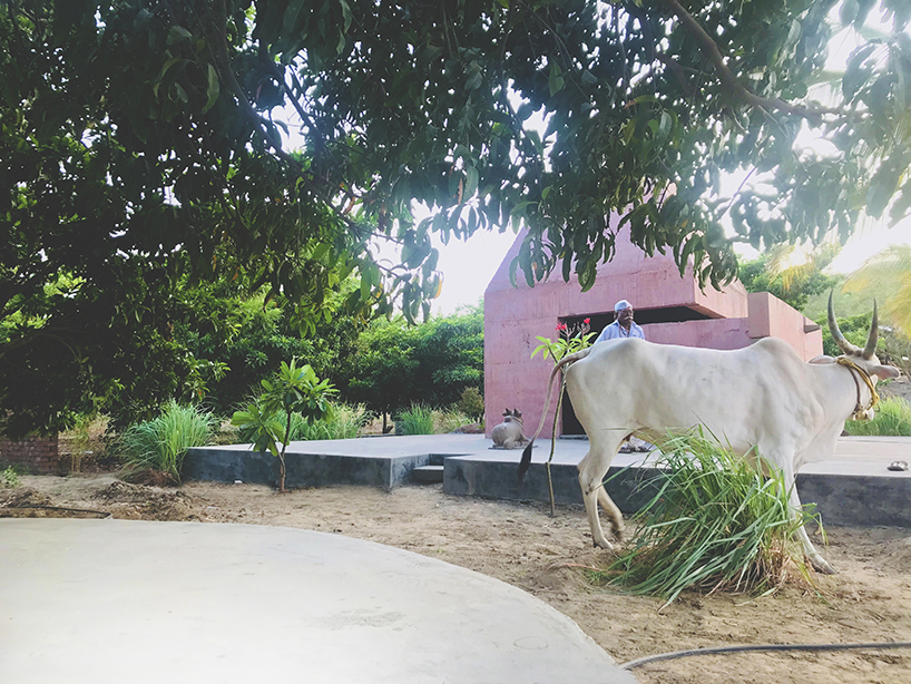 karan darda's orange hindu temple in india creates a contrast with green surroundings