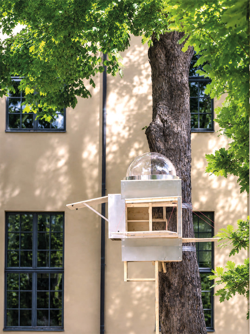 baumhaus office 4