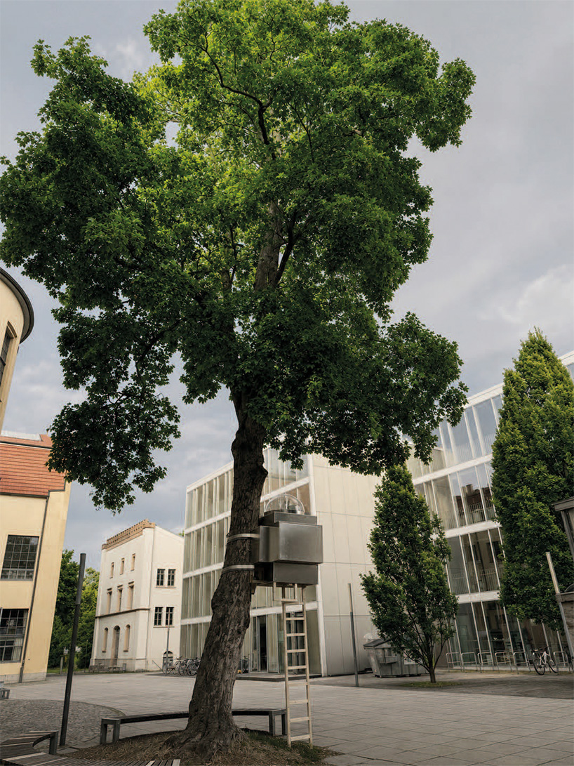 baumhaus office 7