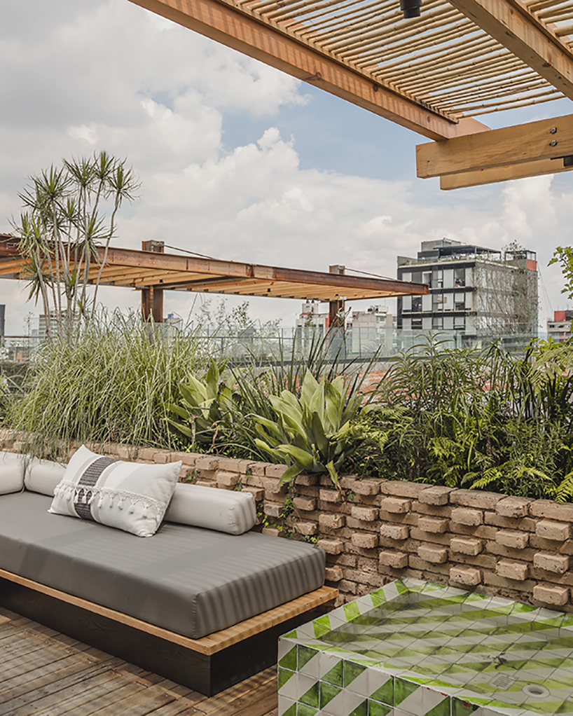 Toledo Rooftop By Vertebral Offers A Glimpse Of Nature In Mexico City