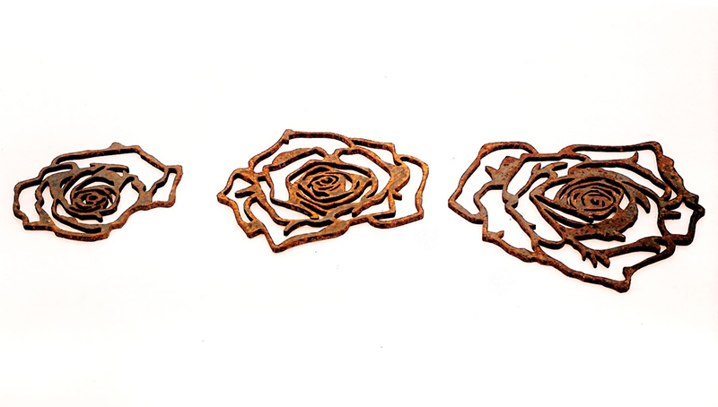 Eight Brazilian Roses and some thorns for Masaoka Shiki: Door mate Rose