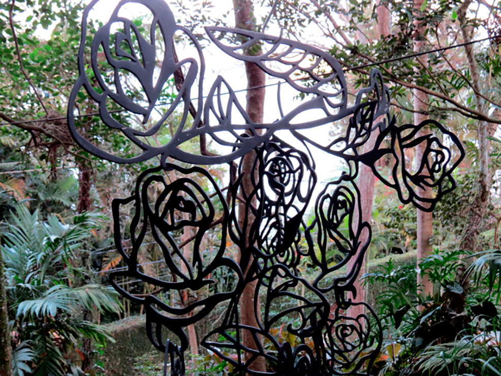 Eight Brazilian Roses and some thorns for Masaoka Shiki: Roses by the Wind