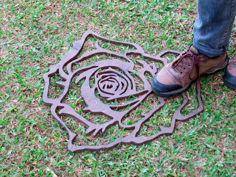 Eight Brazilian Roses and some thorns for Masaoka Shiki: Door mate Rose