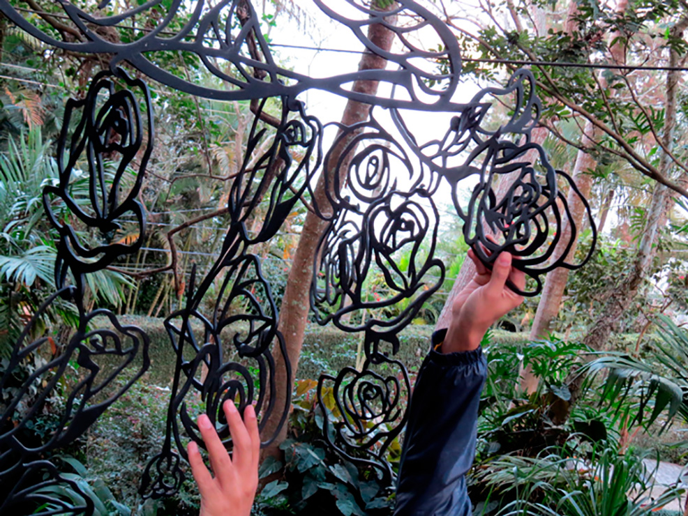 Eight Brazilian Roses and some thorns for Masaoka Shiki: Roses by the Wind