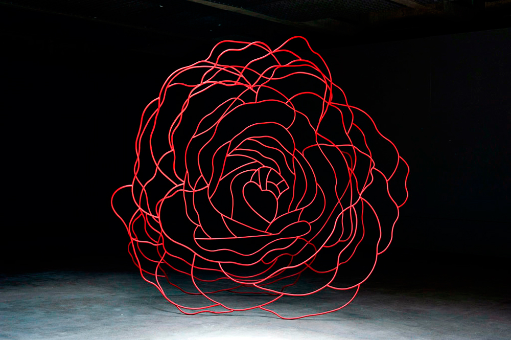 Eight Brazilian Roses and some thorns for Masaoka Shiki: A Rose Omen