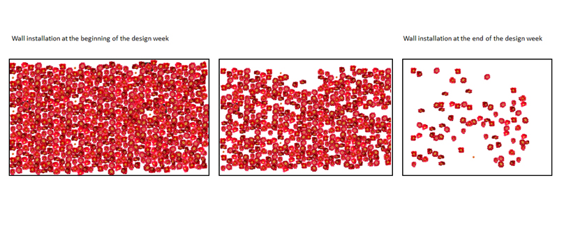 Camellia Pins wall Installation