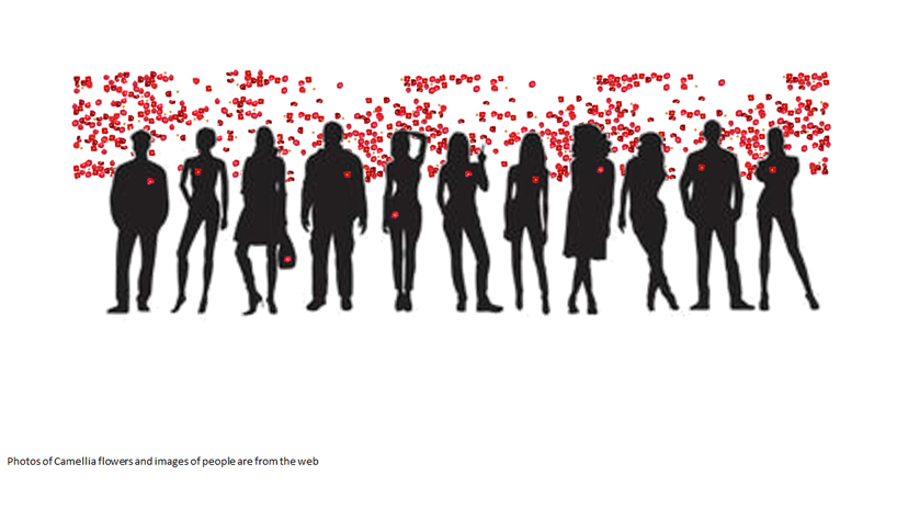 Camellia Pins wall Installation