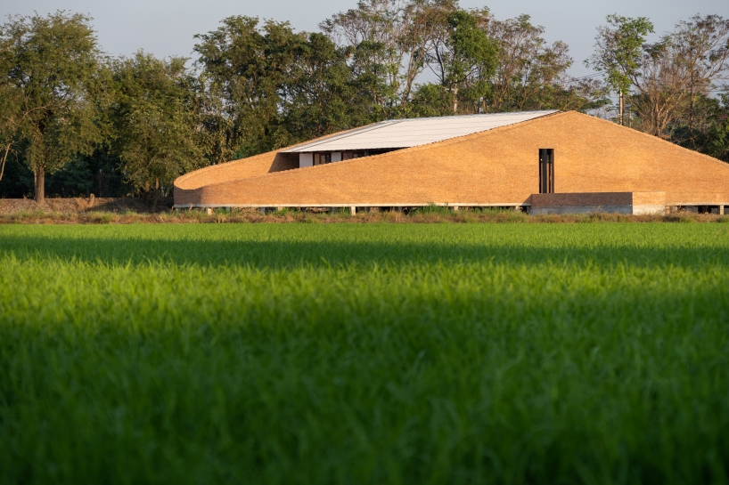 bodinchapa architects integrates naya cafe into the ever-changing rice fields in thailand