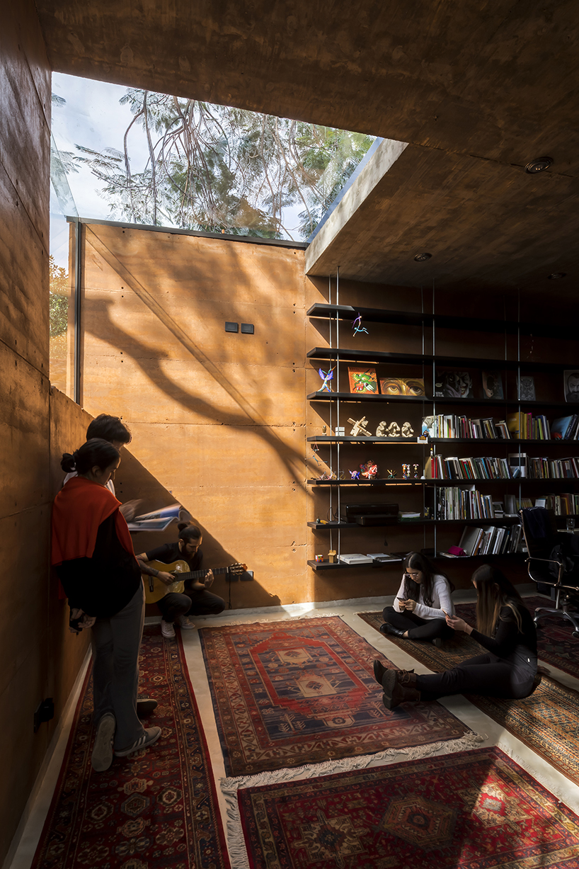 equipo de arquitectura builds an office out of earth around two trees in  paraguay