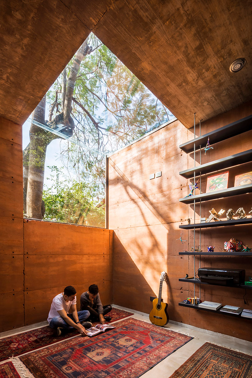 equipo de arquitectura builds an office out of earth around two trees in  paraguay