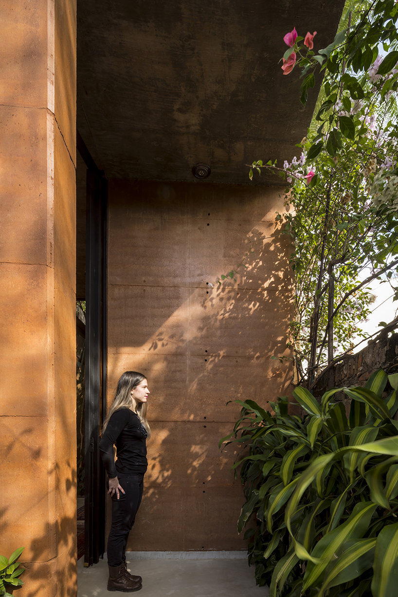 equipo de arquitectura builds an office out of earth around two trees in paraguay