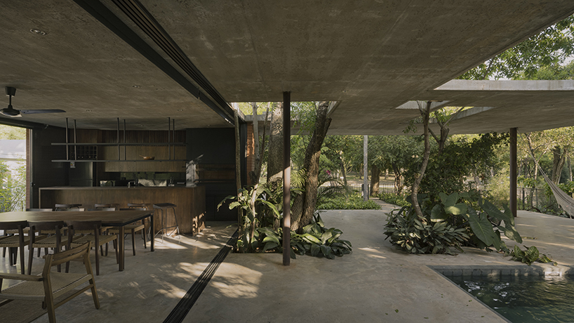 a forest in the house by equipo de arquitectura integrates existing trees into residential design in paraguay 10