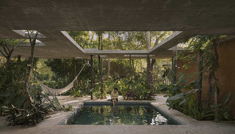 a forest in the house by equipo de arquitectura integrates existing trees into residential design in paraguay 4