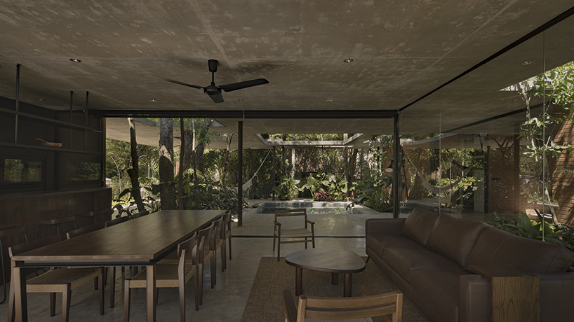 a forest in the house by equipo de arquitectura integrates existing trees into residential design in paraguay 5