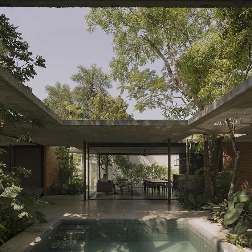 a forest in the house by equipo de arquitectura integrates existing trees into residential design in paraguay 7