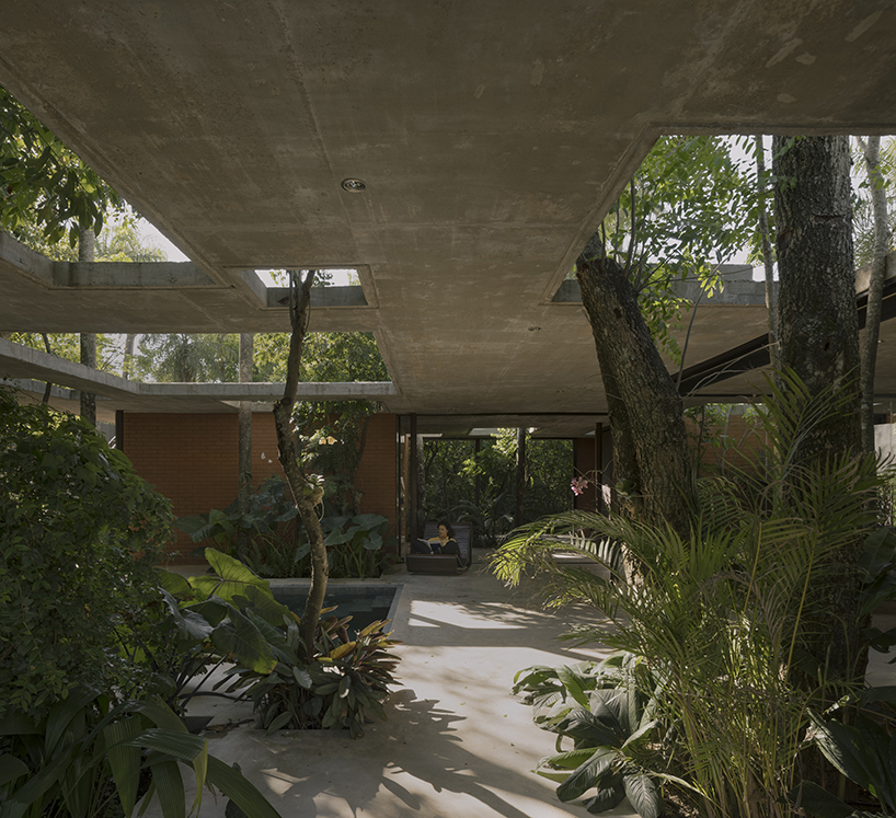 a forest in the house by equipo de arquitectura integrates existing trees into residential design in paraguay 8