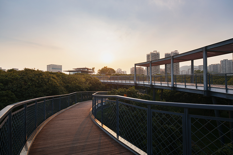 MLA+'s library in shenzhen park features an elevated walkway through the three crowns