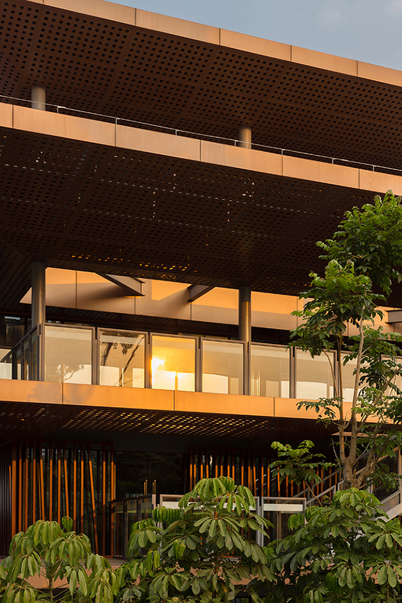 MLA+'s library in shenzhen park features an elevated walkway through the three crowns