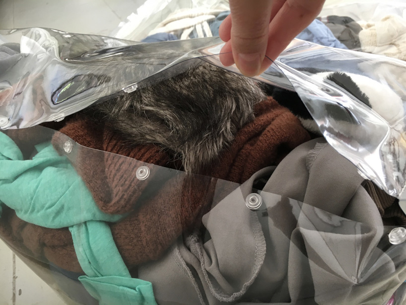 zhihao guo designboom