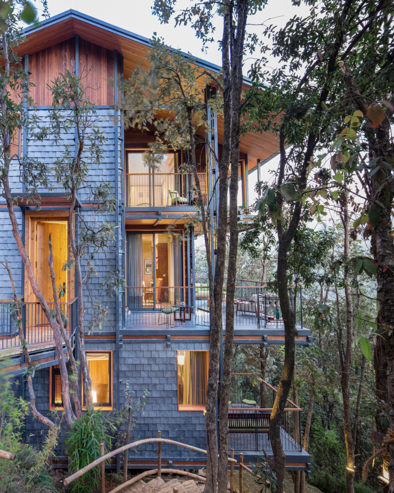 timber villa in the woods by studio lotus floats among himalayan forest