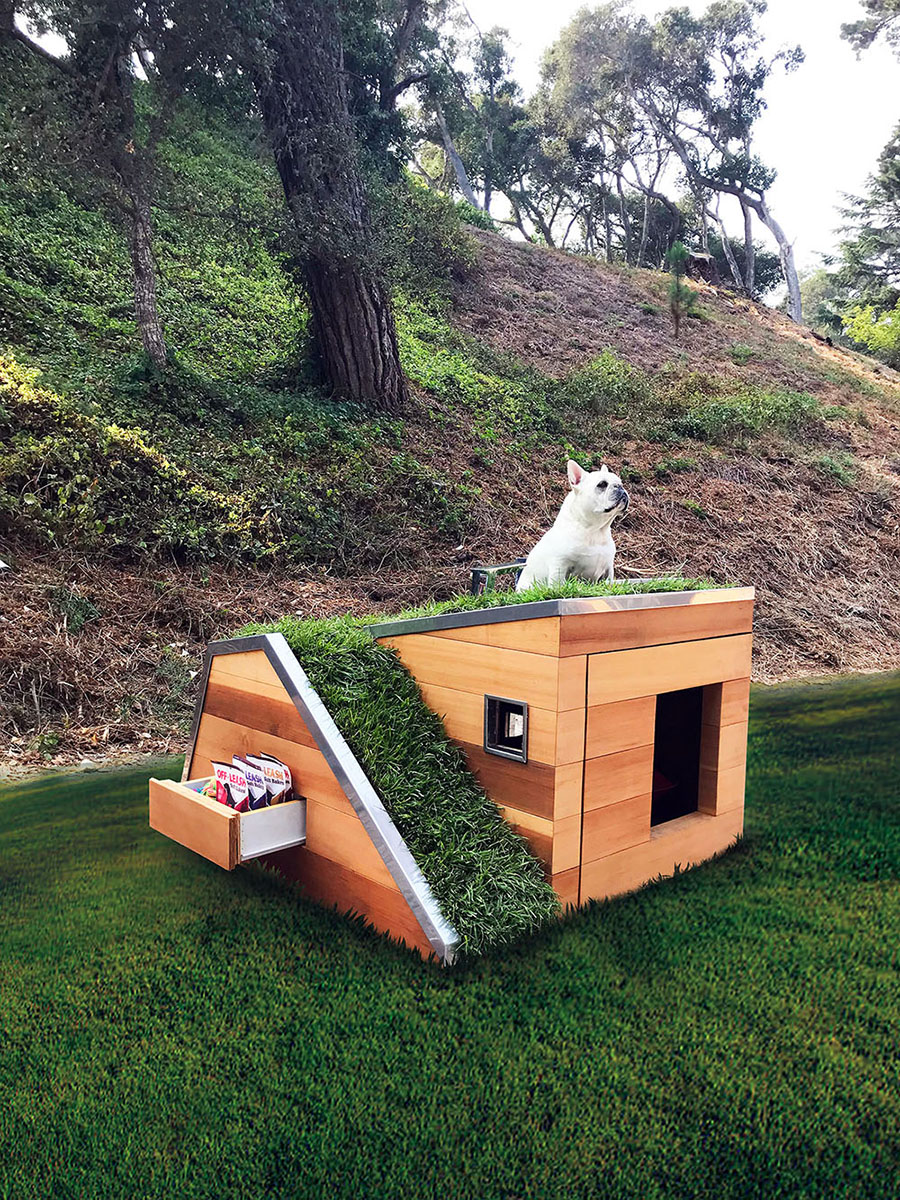 studio schicketanz's doggy dreamhouse designboom