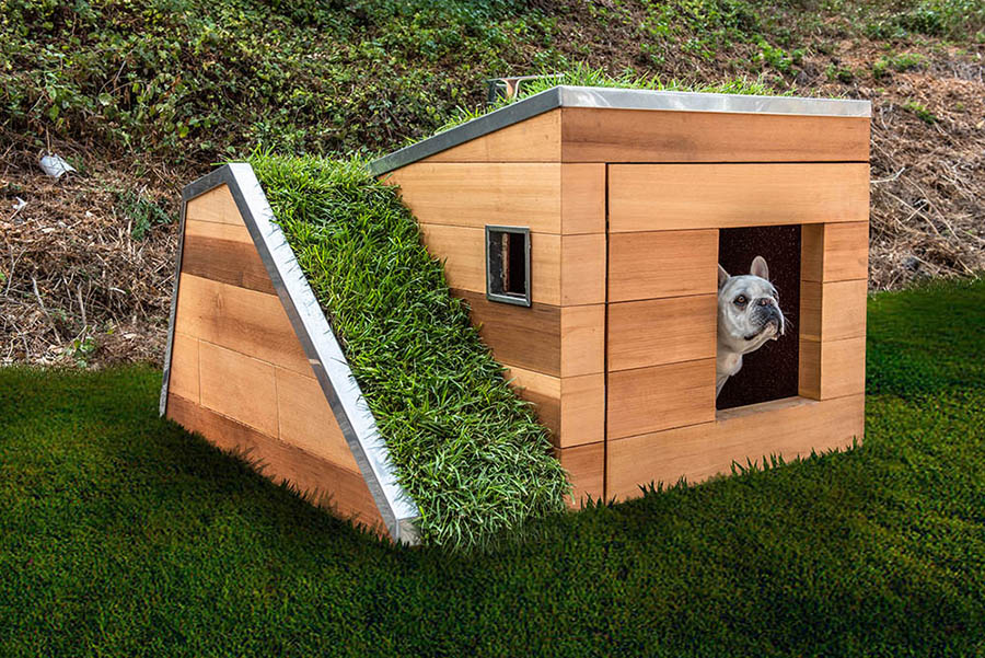 this doggy dreamhouse features a green roof by studio 