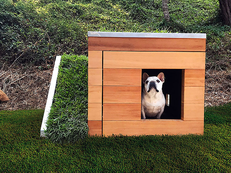 studio schicketanz's doggy dreamhouse designboom