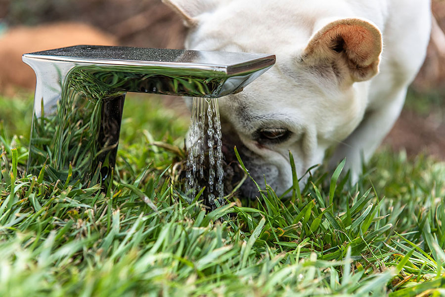 studio schicketanz's doggy dreamhouse designboom