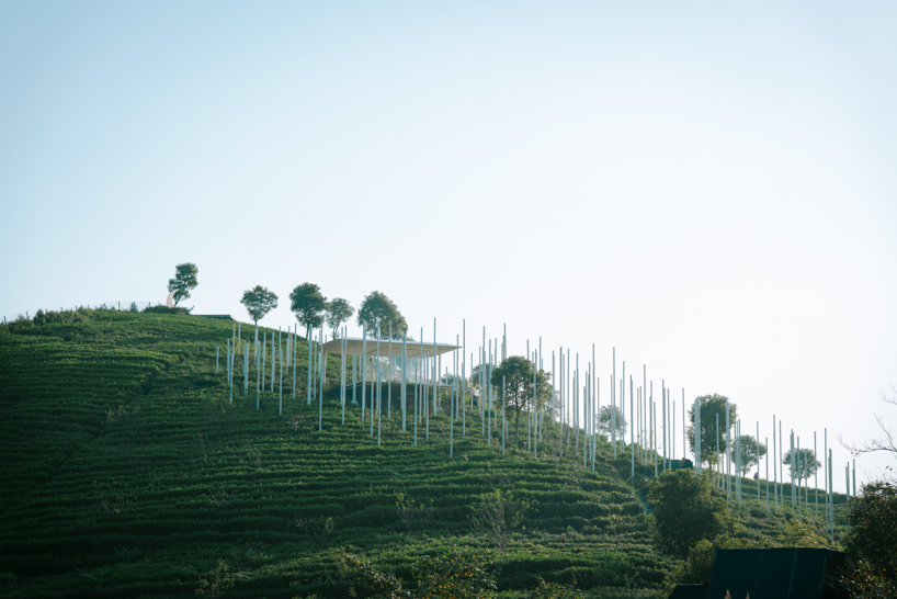 cloud tea room emerges from chinese hillside along with white steel poles infusing fog