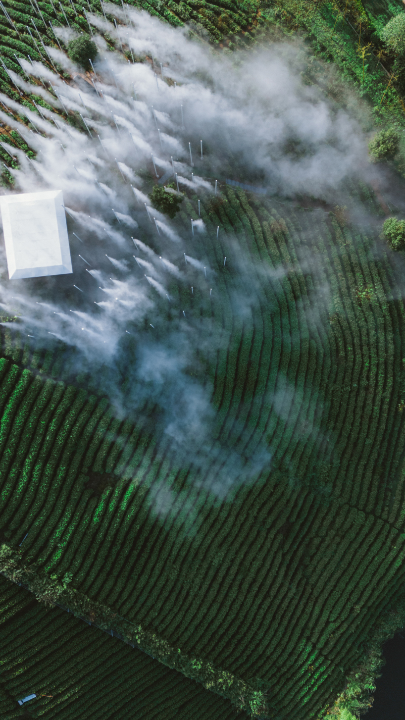 cloud tea room emerges from chinese hillside along with white steel poles infusing fog