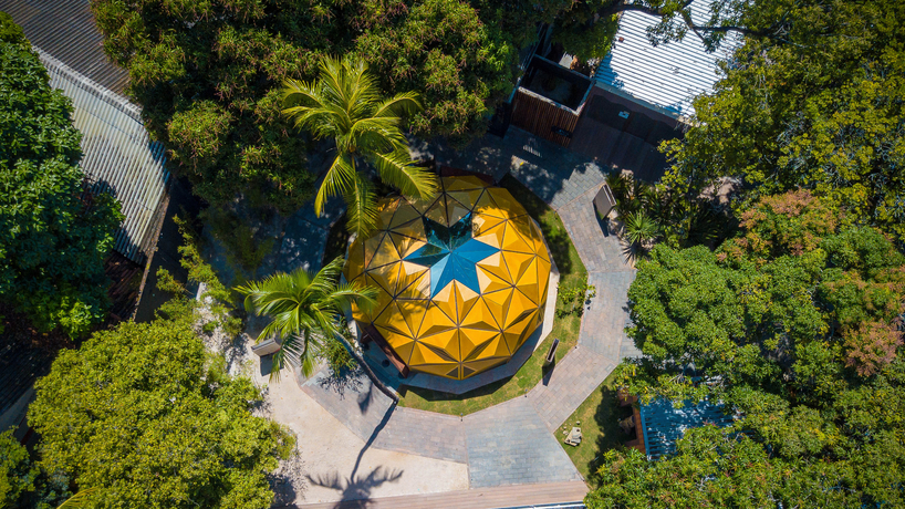 parametric dome-shaped arena in brazil by selvagen is based on the structure of a tree designboom