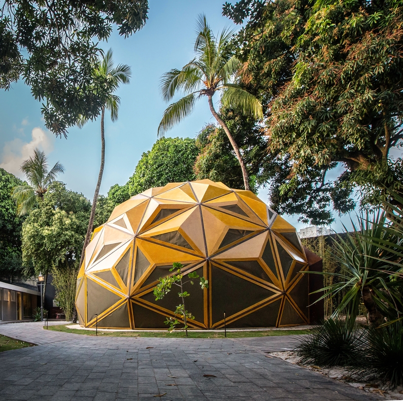 parametric dome-shaped arena in brazil by selvagen is based on the structure of a tree designboom