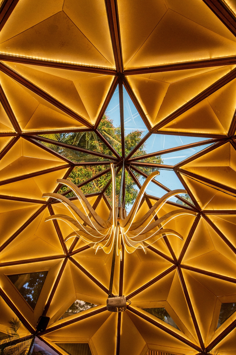 parametric dome-shaped arena in brazil by selvagen is based on the structure of a tree designboom