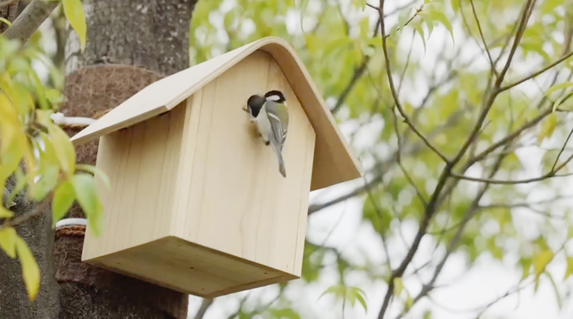 tokyu bird house by ryusuke nanki supports biodiversity across japan's densely populated urban settings