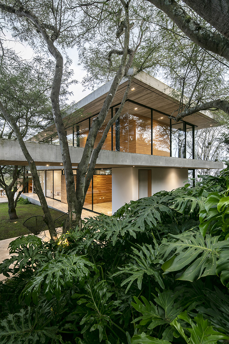 tacuri house by gabriel rivera arquitectos lies amongst the trees in ecuador