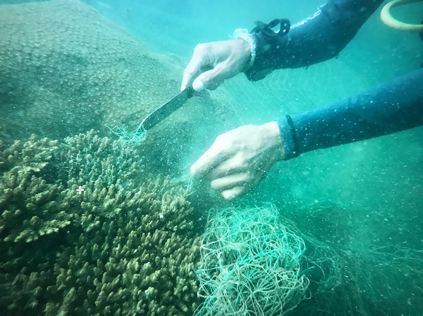 map office remove nets from coral reef to create 6 m high 'ghost 