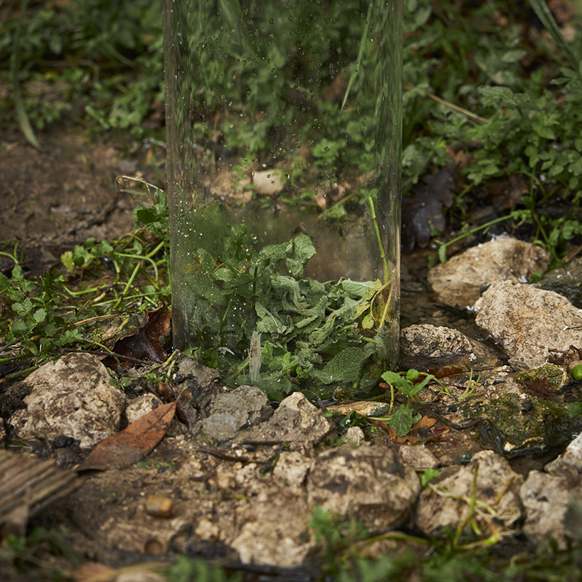 studio baudequinmaldes' sensory installations interact poetically with nature in france