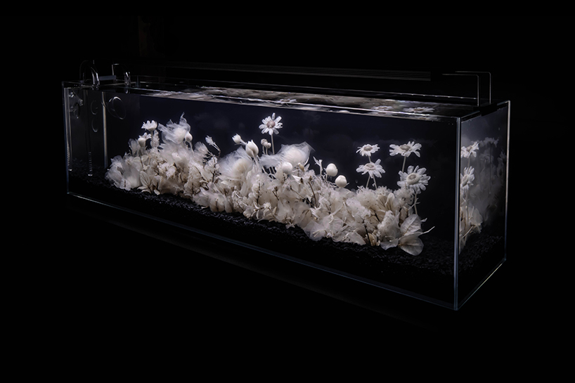 luna ikuta exhibits another ethereal aquarium installation of transparent botanical gardens