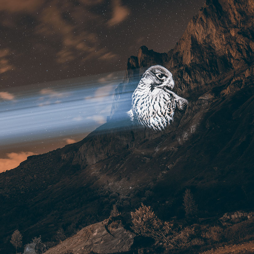 julien nonnon raises awareness by projecting endangered animals onto alpine mountains