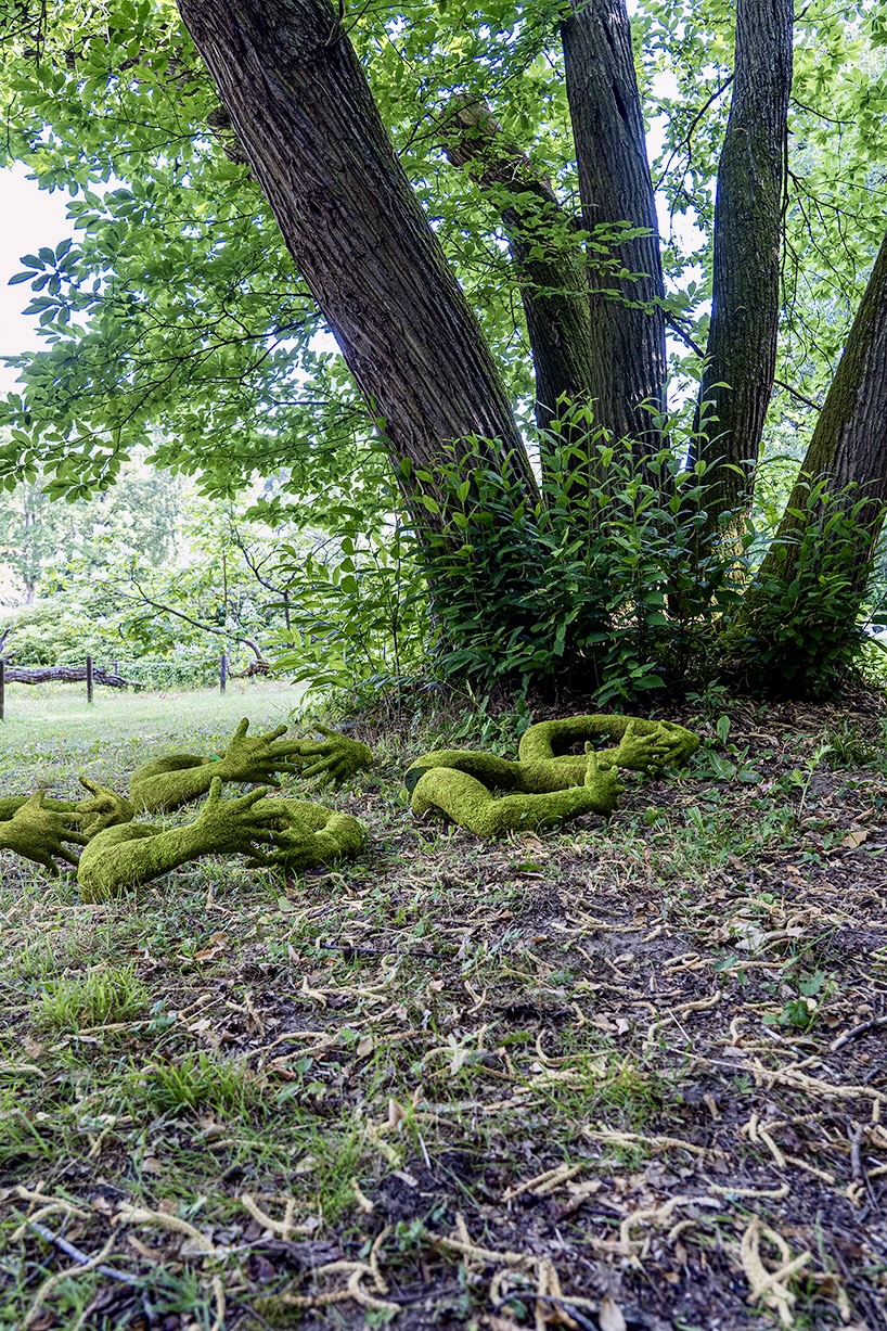 have you ever hugged a tree? monsieur plant wraps sculptural human arms around trees - 10