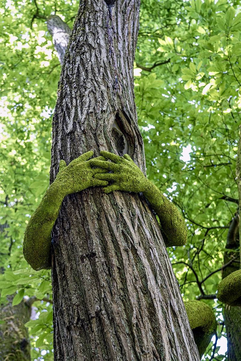 have you ever hugged a tree? monsieur plant wraps sculptural human arms around trees - 5