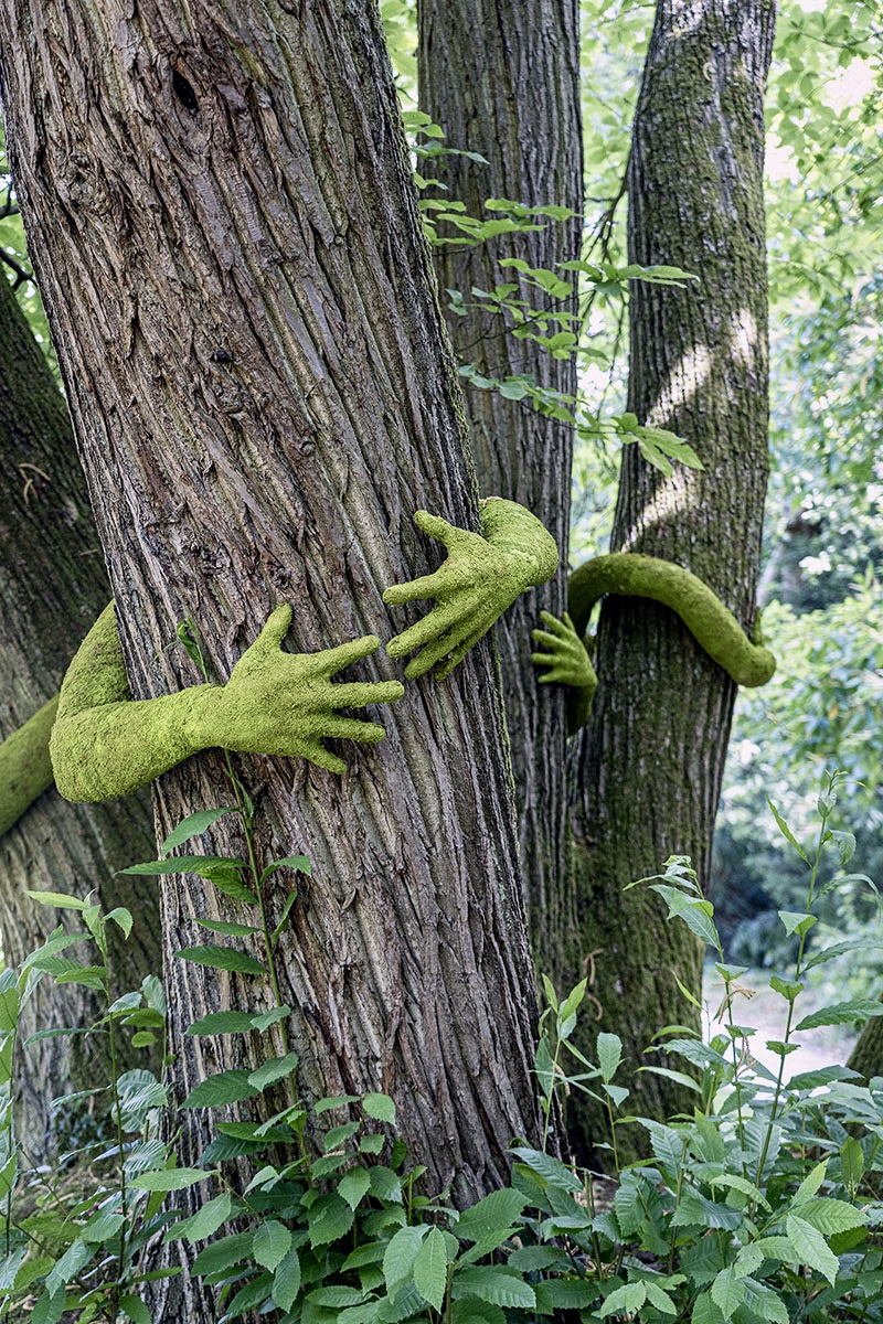 have you ever hugged a tree? monsieur plant wraps sculptural human arms around trees - 4