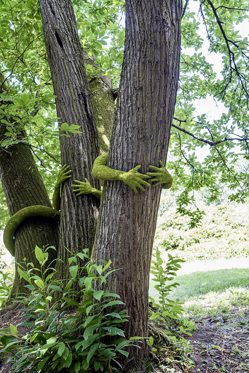 have you ever hugged a tree? monsieur plant wraps sculptural human arms around trees - 6