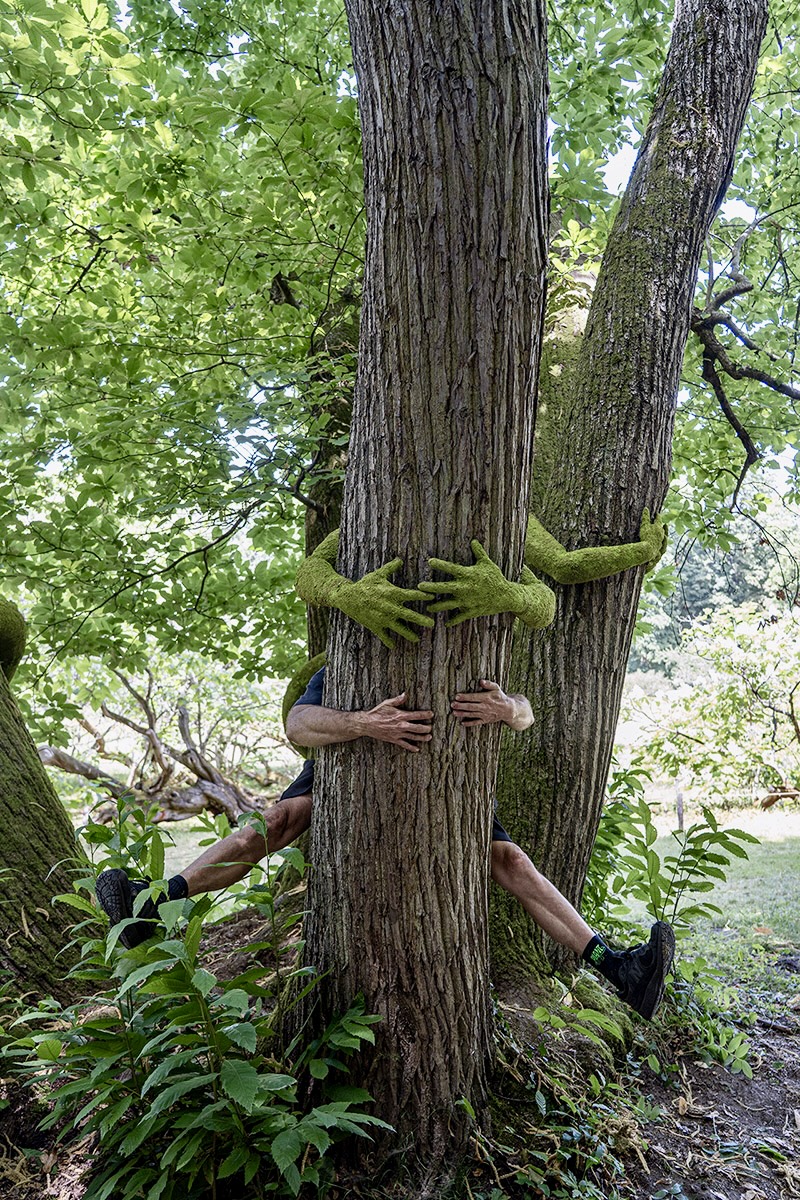 have you ever hugged a tree? monsieur plant wraps sculptural human arms around trees - 8