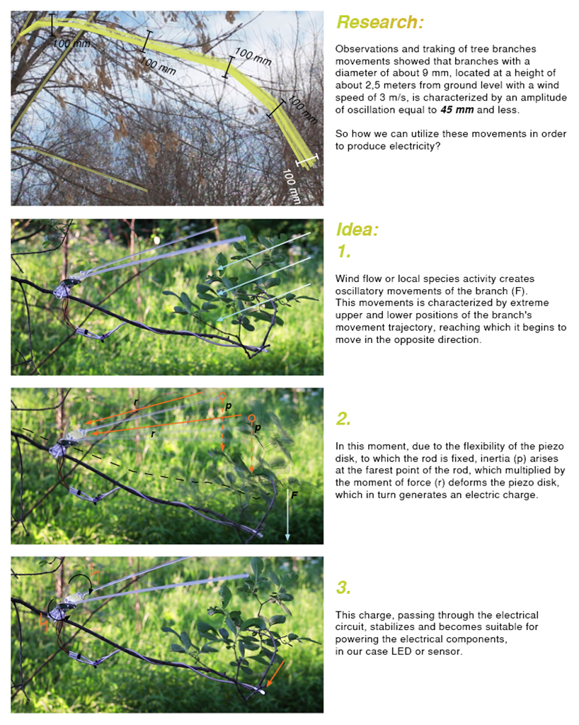 the anemokinetics project uses the movement of trees to generate electricity
