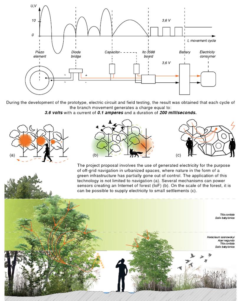 the anemokinetics project uses the movement of trees to generate electricity